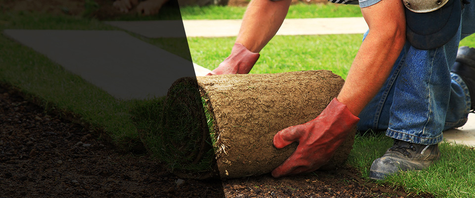 Poway Landscapers
